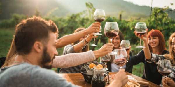 Autumn Wine Tours: Top Vineyards to Visit Globally