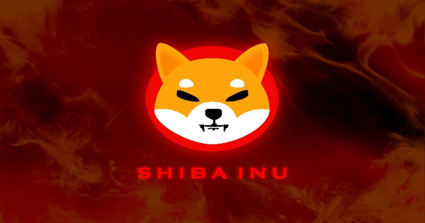 SHIB Price Prediction: Dead-Cat Bounce or Real Recovery? Anemic Volume and a Bearish MACD Say Don't Get Comfortable
