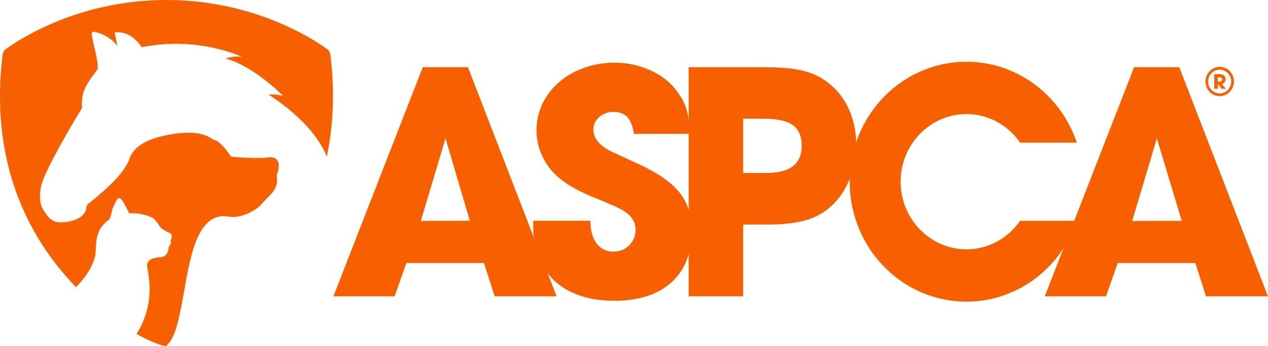 ASPCA's The Rescue Effect Campaign for Adopt a Shelter Dog Month