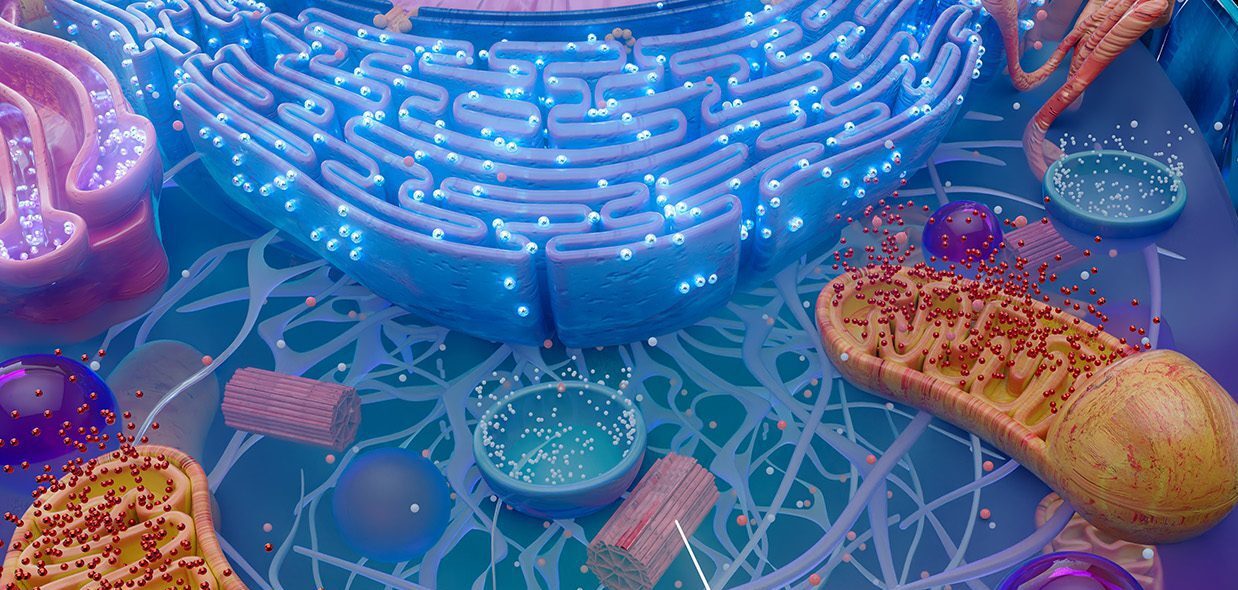 New Calibration Framework Improves Confidence in AI Virtual Cell Models