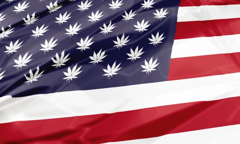 The Rise of THCA in 2026: Understanding the Shifts in Hemp Consumption