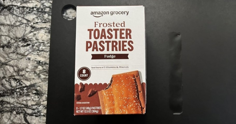 Amazon Frosted Toaster Pastries 8-Count Only 