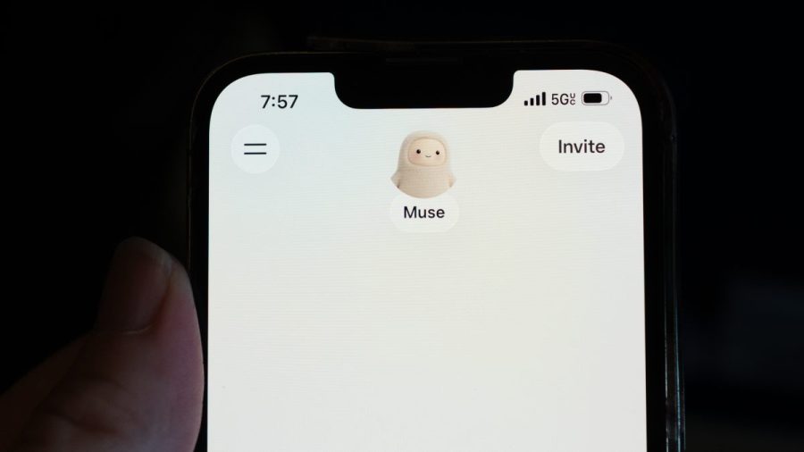 If your friends use Meta Muse, there's a file with your personal information being built