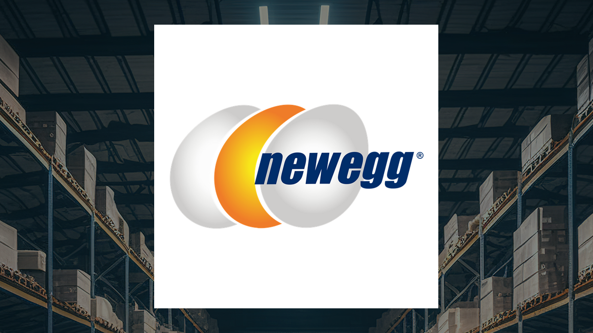 Newegg Commerce (NASDAQ:NEGG) Stock: Insider Fred Faching Chang Sells 3,582 Shares