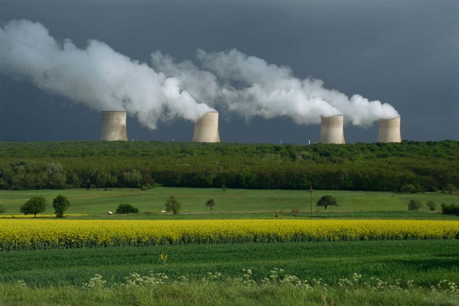 Constellation Energy Soars 12% on Google Nuclear Deal for 890 MW; Vistra Jumps 8%, Talen Energy Climbs 7%