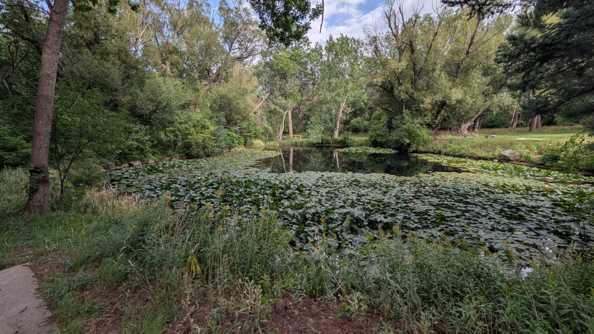 Old Stratton Park master plan finalized, city prepping for 2027 opening